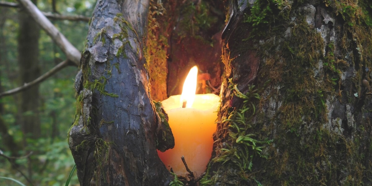 Blog - a letter to my son