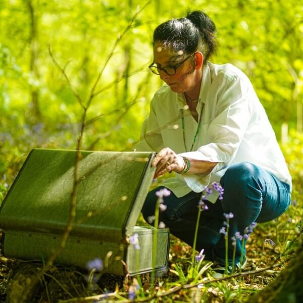 About the Cats Pyjamas Kindneww Co