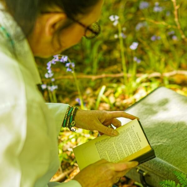 Become our next Storyteller at the Cats Pyjamas