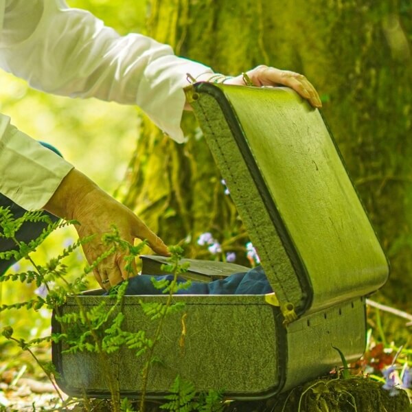 What the Cats Pyjamas Company does