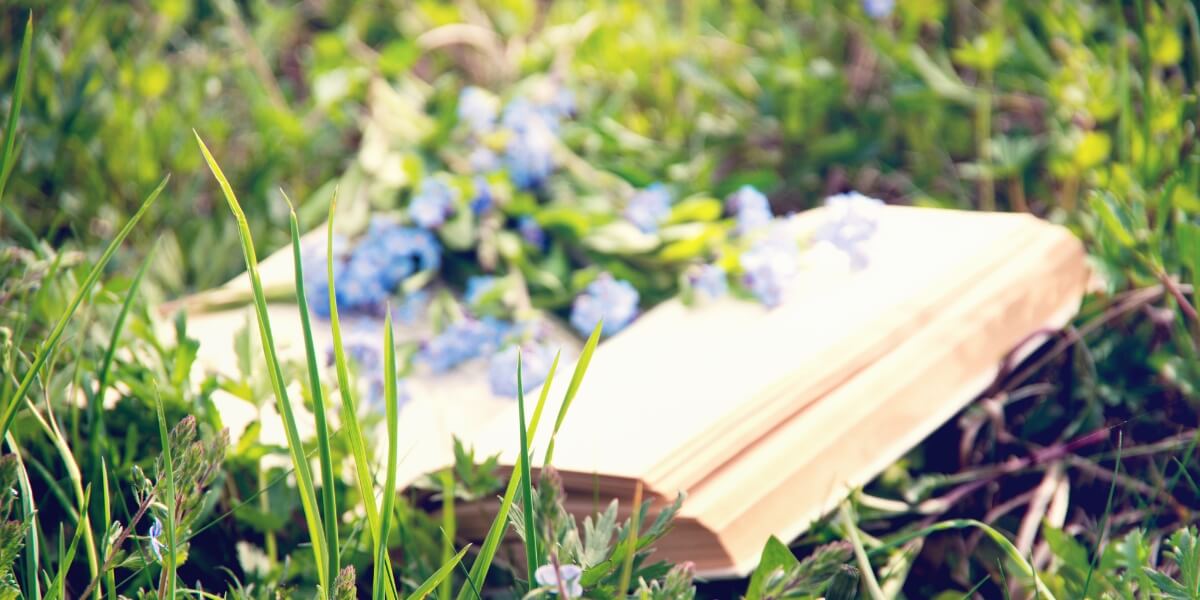 Blog - benefits of storytelling