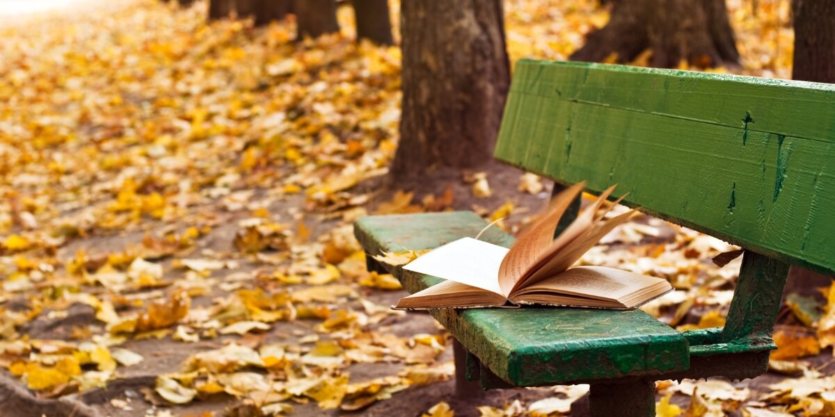 Blog - humour and humility