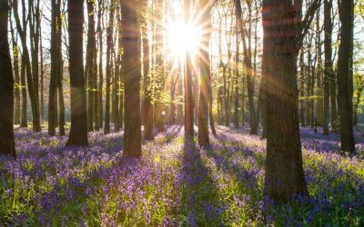 And So The Story begins…