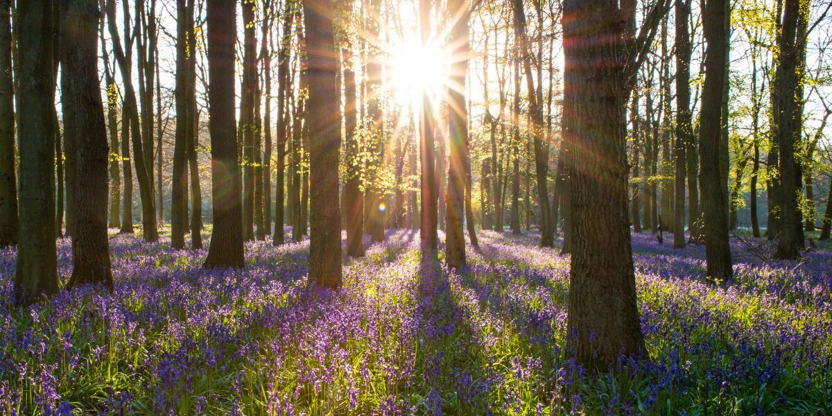 Blog - The Story Begins